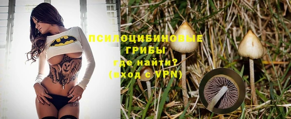 круглые Алзамай