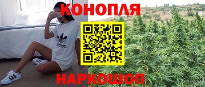 ГАЛЛЮЦИНОГЕННЫЕ ГРИБЫ Апрелевка