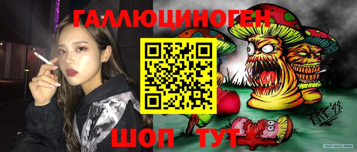 сколько стоит  Вход с VPN  Березники  Псилоцибиновые грибы мицелий 