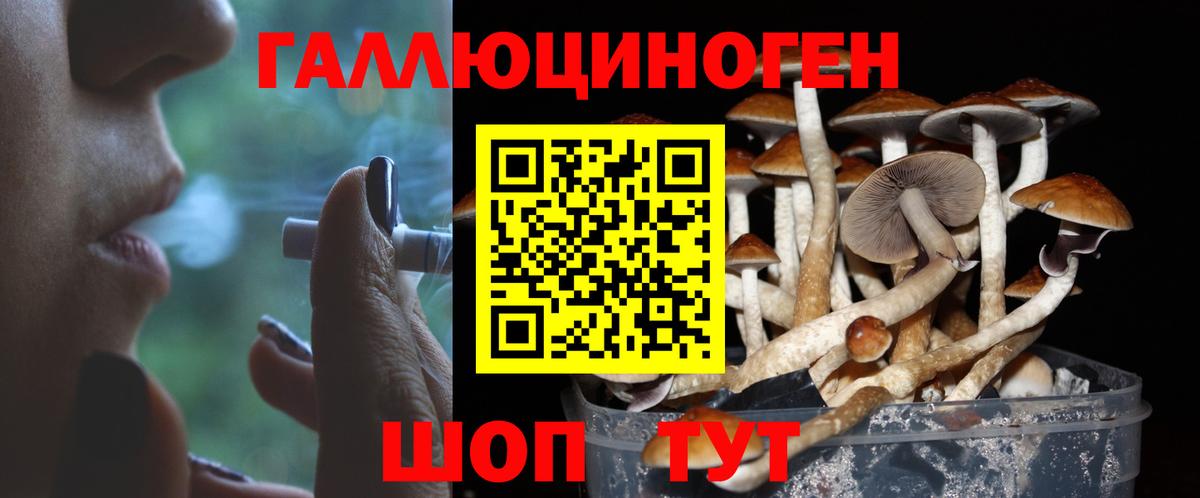 Галлюциногенные грибы MAGIC MUSHROOMS Березники